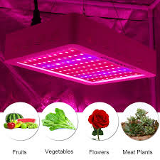Phlizon 600w led safe led lights with a good response when it comes to the growth of plants, that's what the philzon's 600w led is all about. Castnoo 500w Full Spectrum High Yield Led Grow Light Best For Indoor Plants Grow And Flower Multi Grow Light Led High Light Forled Light Led Aliexpress