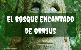 Excursion Al Bosque Encantado De Orrius El Moai Y El Elefante Bosque Encantado Bosque Viajes