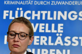 Alice weidel, 38, may have had no hope of beating mrs merkel, but she has helped to put the migrant crisis at the heart of the election debate. Die Afd Im Wahlkampf Alice Weidel Outet Sich Als Homosexuell Politik Stuttgarter Zeitung