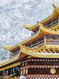 2026 紅原—若爾蓋大草原詳細攻略推薦| 3月| Trip Moments