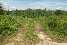 Gta san andreas rar download for pc : Barrie News Barry Wardell New York Chef Yells Racist Slurs At Driver