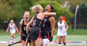 Image result for Striga hallaei