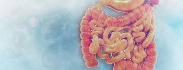 We did not find results for: Virtual Colonoscopy Johns Hopkins Medicine