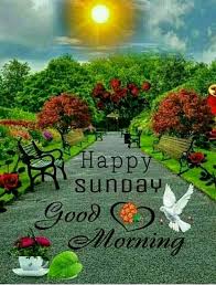 In this section we are share a beautyful sunday good morning images with quotes. 829 Sunday Good Morning Images Quotes Pics Wishes In Hindi