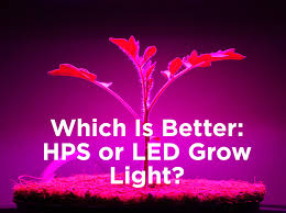 Maybe you would like to learn more about one of these? Which Is Better Hps Or Led Grow Light 1000bulbs Com Blog
