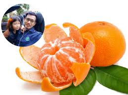 Sembuhkan batuk dengan air garam. Doktor Ini Terang Cara Betul Makan Limau Mandarin Nanti Taklah Batuk Atau Sakit Tekak Mingguan Wanita