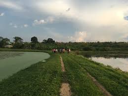 Tree fish farm promete te pagar no paypal ser mesmo? Food Systems Caravan Bridging Science And Practice Discussing Transdisciplinary And Systemic Solutions Towards The Sustainability Of Agricultural And Food Systems In West Africa