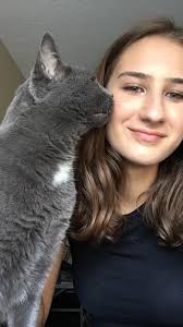 My cat Avgust doesn't come home for few days. Tivat, next to Technomax. Has  anyone seen him? He has a purple collar with an air tag (doesnt work atm)