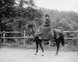Equestrian Lady Rides Horse In Skirt 8x10 Reprint Of Old Photo Horses Equestrian Equestrian Riding