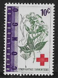 Image result for Strophanthus sarmentosus