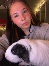 I am looking for a female guinea pig for my other piggy around Somerset  area