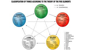 The Physical And Emotional Connections Of The Five Vital