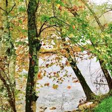 Informed rvers have rated 20 campgrounds near gatlinburg, tennessee. Grumpy Bear Campground Rv Park 33 Photos Campgrounds 2030 Old River Rd Bryson City Nc Phone Number Yelp
