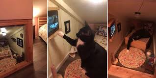 Bedroom screen door for cats. Couple Builds Mini Bedroom For Their Cat Complete With A Tv For Watching Birds On Youtube Upworthy