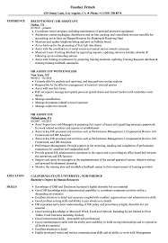 How to write an assistant manager resume even if you have no experience. Hr Assistant Resume Samples Velvet Jobs