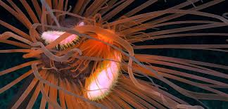 DEEP RISING - DocLands