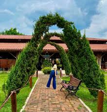 Carmen Adrianzen Seminario