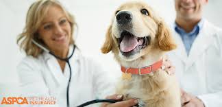 What was the date of their last vaccine? Aspca Pet Health Insurance Aspca