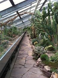 Succulent Greenhouse In The Copenhagen Botanical Gardens Modern Garden Greenhouse Gardening Succulents