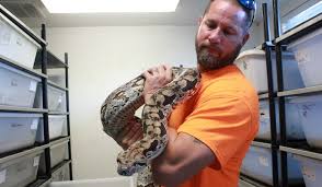 We thank you for supporting a small business like us, we have a small local shop in winter park florida but want to make our selection available to the pet owners everywhere! Gourmet Rodent Breeds Global Exotic Pet Business In Newberry Wuft News