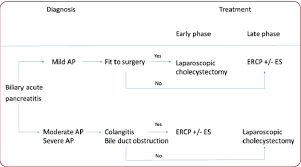 Check spelling or type a new query. Management Of Acute Gallstone Pancreatitis Download Scientific Diagram