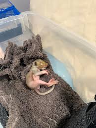 Catawba Junction Wildlife Rehabilitation and Farm Animal Sanctuary added  a...