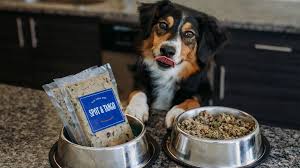 Dogs, unlike cats, are not strict carnivores by nature. The Best Dog Food Delivery Options For 2021 Cnet