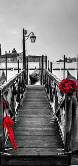 Black And White Vs Colored Red Roses Romantic Venice The Main Objects Are Colours Red Which Is Brighter And A Differ Color Splash Red Color Splash Photography Color Splash Photo