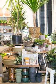 The Zen Succulent Plant Shop Plant Aesthetic Plants Planting Succulents