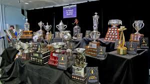 Two sp insert cards in every pack. Nhl Awards 2021 Tracker