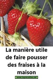 Epingle Sur B E E S