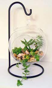 We did not find results for: Hanging Glass Terrarium Terrarium Stand Terrarium