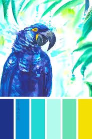 The people who fit the summer colour palette have pink, rose, and blue skin undertones, and gray, brown, or blonde hair. Tropical Color Scheme