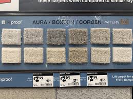 We did not find results for: New Life Proof Carpet From Home Depot Haneen S Haven