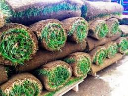 How much does it cost for sod. How Much Does Sod Cost In North Dallas Sod Prices