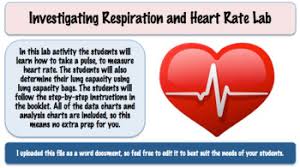 Investigating Respiration And Heart Rate Lab Editable