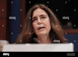 Wendy Weiser, Director for Democracy Program in the Brennan Center for  Justice at NYU School of Law, speaks during a House Committee hearing