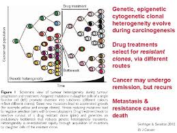 Bulk drugs for varied therapeutic applications like antidote. Cancer Focus On Tradeoffs Mismatches Evolution Of Causes