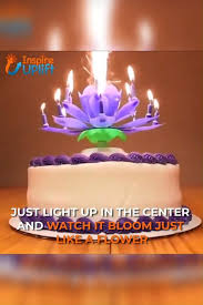 Birthday Cake Candles Sparklers Tesco Blooming Musical Candle Birthday Candles Birthday Songs Unique Birthday Ideas
