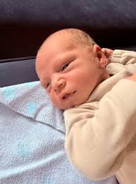 JJ & Mel B's Bilmar Babies