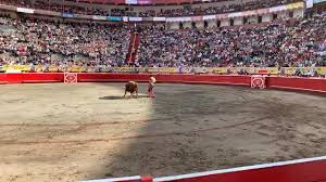 🐂 Primer novillo de la tarde. ‪Matador: Gitanillo de América ‬ ‪Novillo:  Cerillero‬ ‪Peso: 434 Kg ‬ ‪Ganadería: Armerías ‬ ‪#65TemporadaTaurina | By  Plaza de Toros de Manizales | Facebook‬