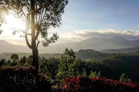 We did not find results for: Taman Langit Malang Wisata Spot Foto Kekinian Berlatar Gunung Banyak Halaman All Kompas Com