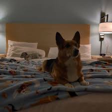 Read reviews of sonesta es suites cleveland airport. Sonesta Es Suites Cleveland Airport 42 Photos 29 Reviews Hotels 17525 Rosbough Dr Middleburg Heights Oh Phone Number