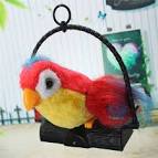 Pictures of 2 parrots singing and talking dolls <?=substr(md5('https://encrypted-tbn0.gstatic.com/images?q=tbn:ANd9GcQGoQRGHJgxlBYMq3jZW6eZer43wo4zFJuzxkQ9_yKIMgMfO2bD2YBdvJG_'), 0, 7); ?>