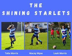 See more ideas about starlet, marylin monroe, linda ronstadt. The Shining Starlets Sportscast Jersey