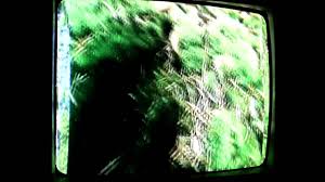 Gabriel Bruce El Musgo Youtube