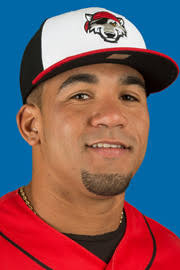 Devon Travis minor league baseball statistics