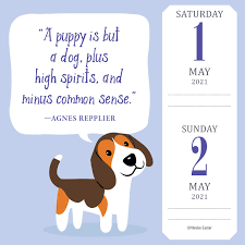 Today is national puppy day 2021. Calendars Planners Cute 2021 Page A Day Dog Trivia Daily Desk Calendar Puppies Dog Facts Calendars