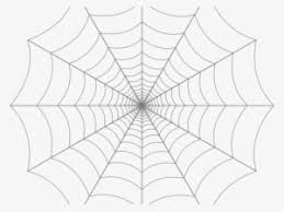 spider web transparent background png transparent spider web transparent background png image free download pngkey spider web transparent background png