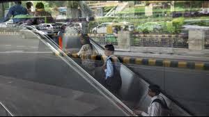 India's past resilience shows the way ...